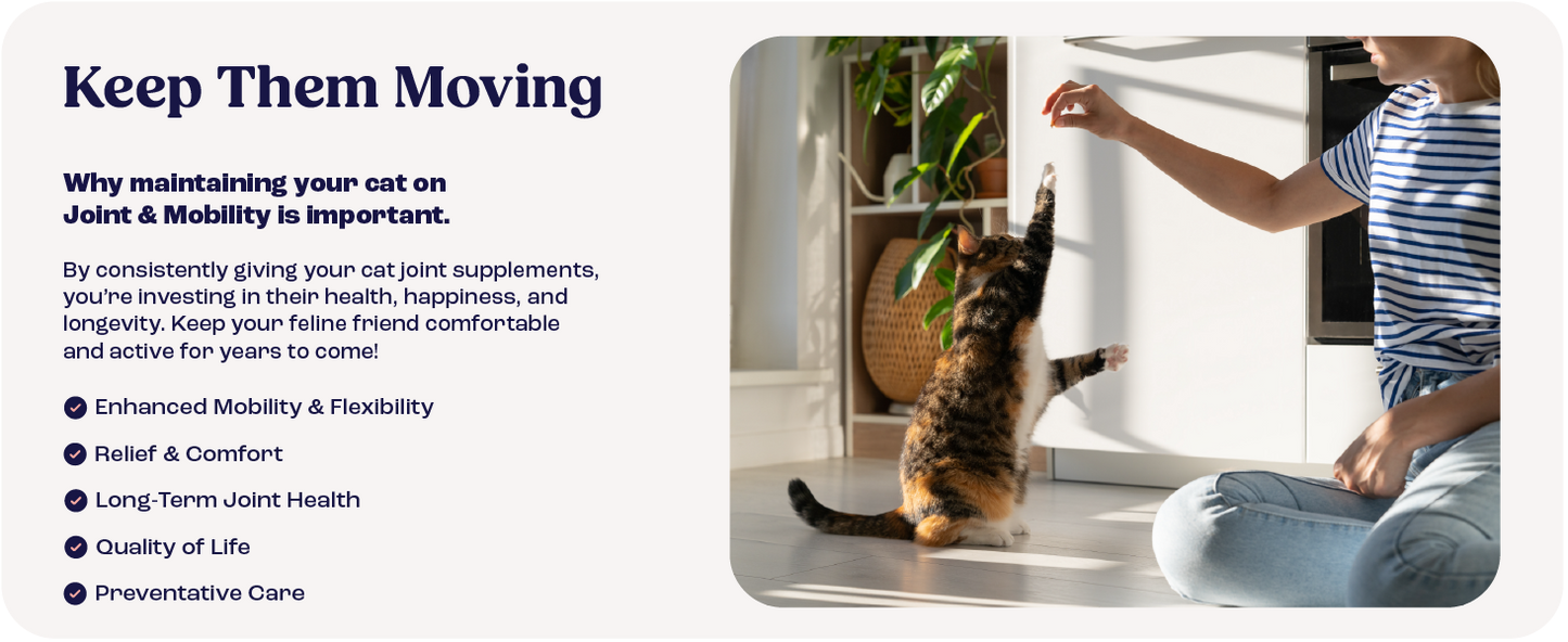 Cat Joint Supplement Chondroitin Mobility Support Natural Formula