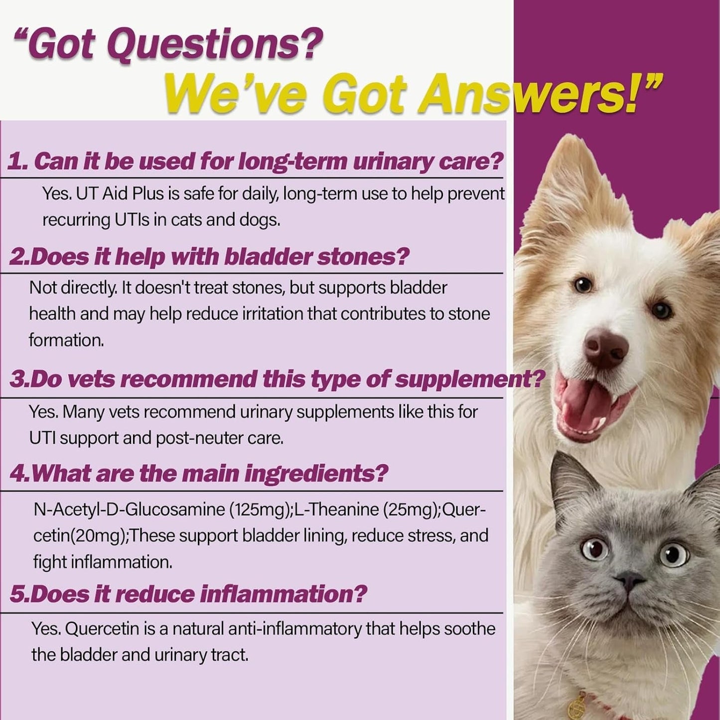 Pet Urinary Tract Support Capsules Cat Dog Bladder Kidney Health Supplement