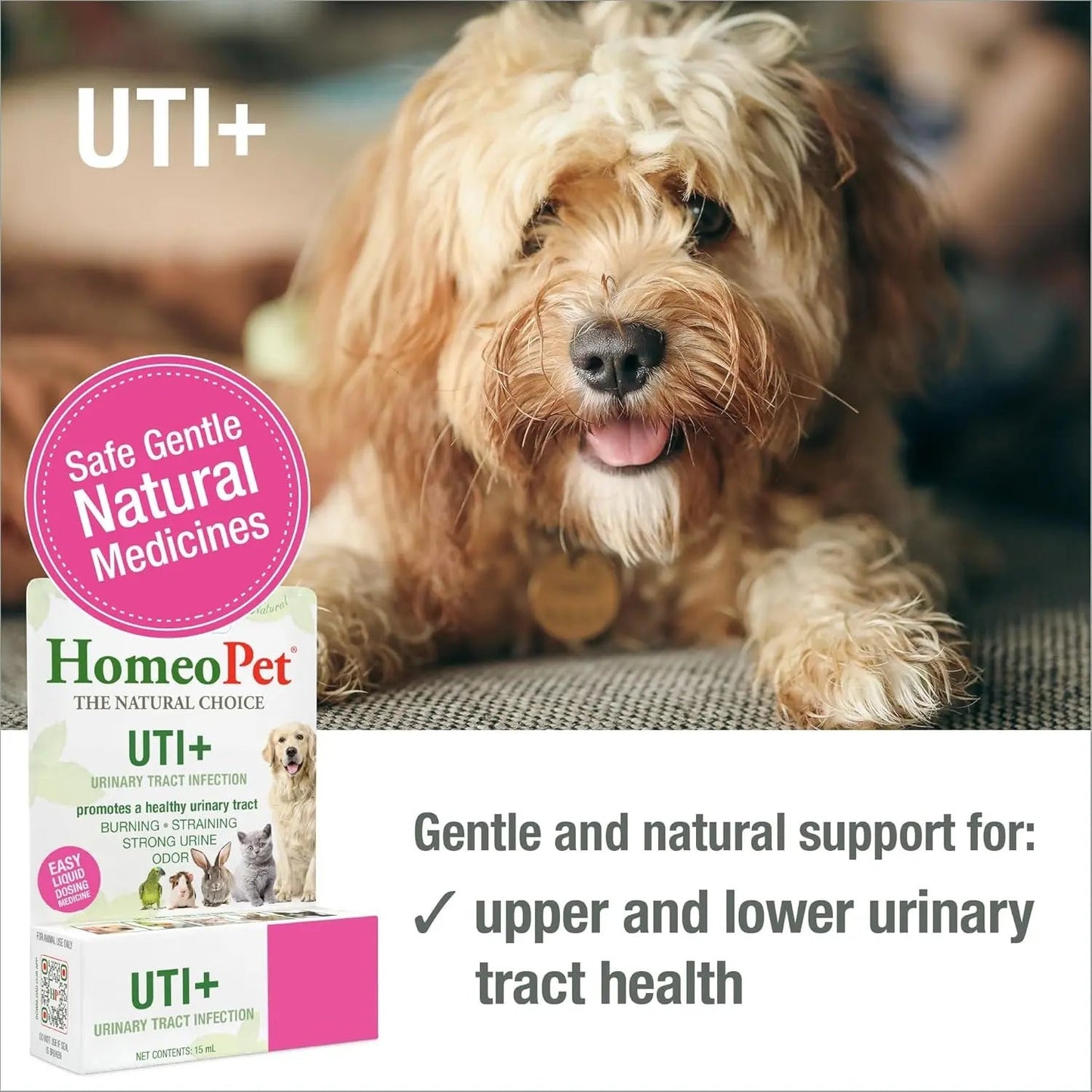 Cat UTI Relief Drops Natural Urinary Tract Support Supplement 15ml