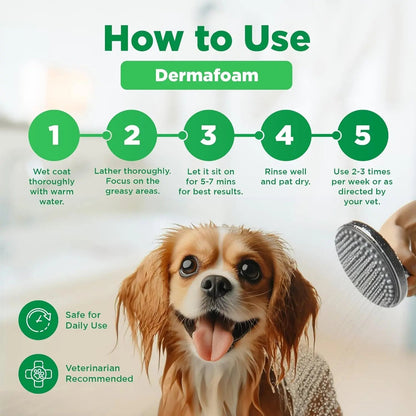 Dermafoam Chlorhexidine Dog Shampoo for Itch Allergies Hot Spots 16.9oz
