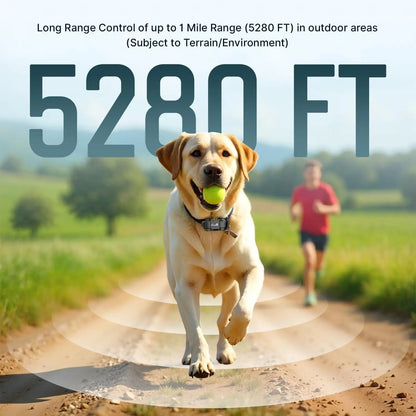 Dog Training Collar for up to 2 Dogs Remote Waterproof Rechargeable 1 Mile Range