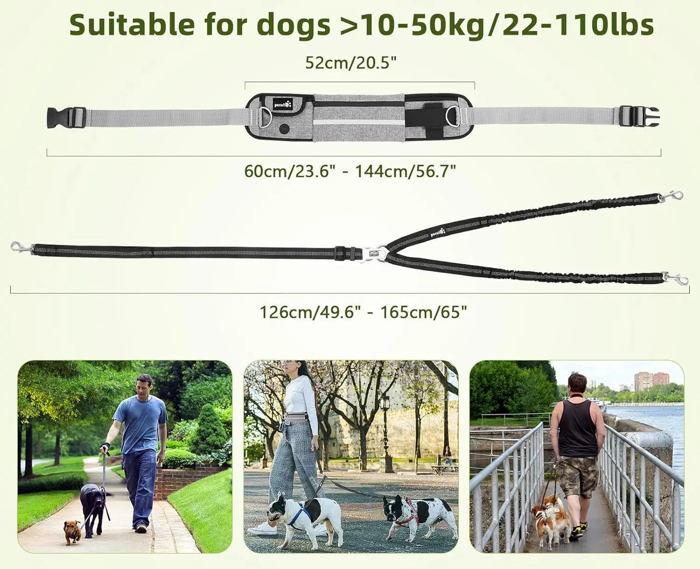 Hands Free Dog Leash Dual Bungee Adjustable Waist Belt Running Walking
