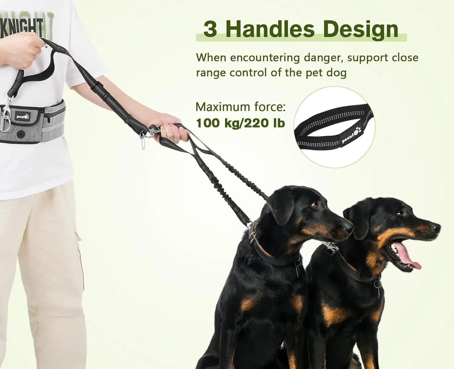 Hands Free Dog Leash Dual Bungee Adjustable Waist Belt Running Walking