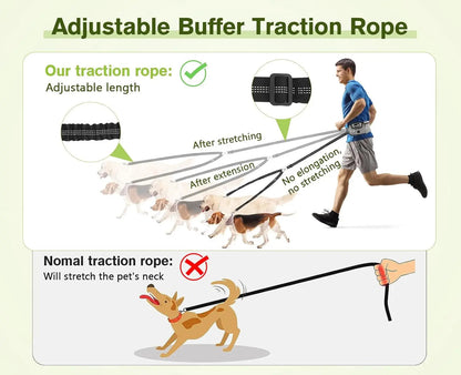 Hands Free Dog Leash Dual Bungee Adjustable Waist Belt Running Walking