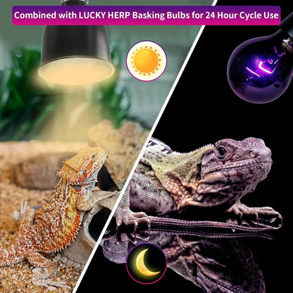 LUCKY HERP Reptile Night Heat Bulb 2 Pack 50W/75W UVA Heat Lamp E26