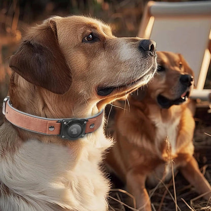 Leather AirTag Dog Collar with Built-In Holder, Reflective Adjustable Design