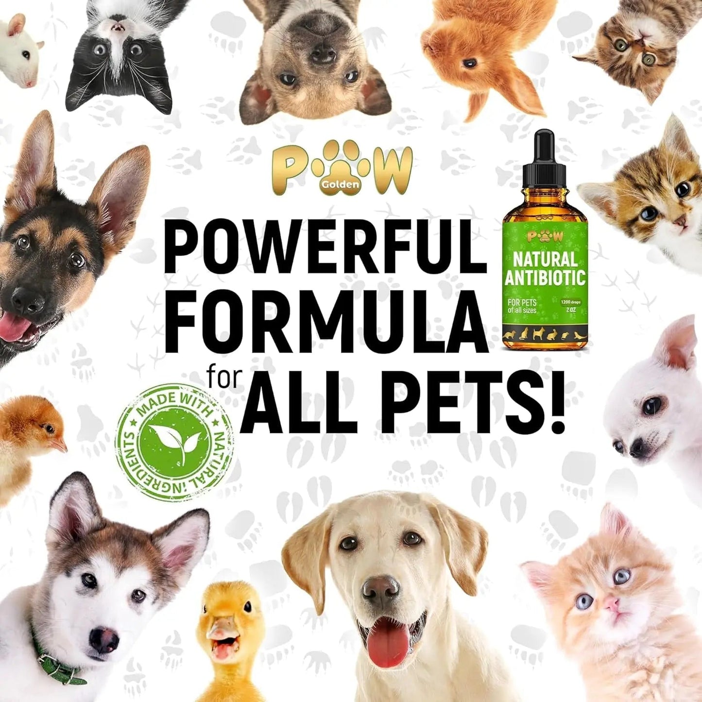 Natural Pet Immune Support Drops for Dogs & Cats, Skin, Coat & Digestion – 2 oz