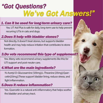 Pet Urinary Tract Support Capsules Cat Dog Bladder Kidney Health Supplement