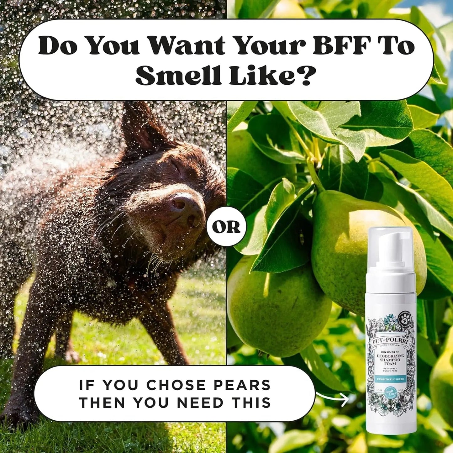 Pet Dry Shampoo No Rinse Foam Deodorizing Plant Based Dog Cat Odor