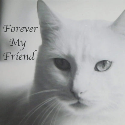 Stainless Steel Pet Memorial Urn for Cats & Small Dogs with Secure Lid Keepsake