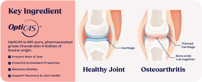 Cat Joint Supplement Chondroitin Mobility Support Natural Formula