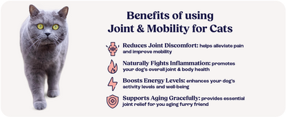 Cat Joint Supplement Chondroitin Mobility Support Natural Formula